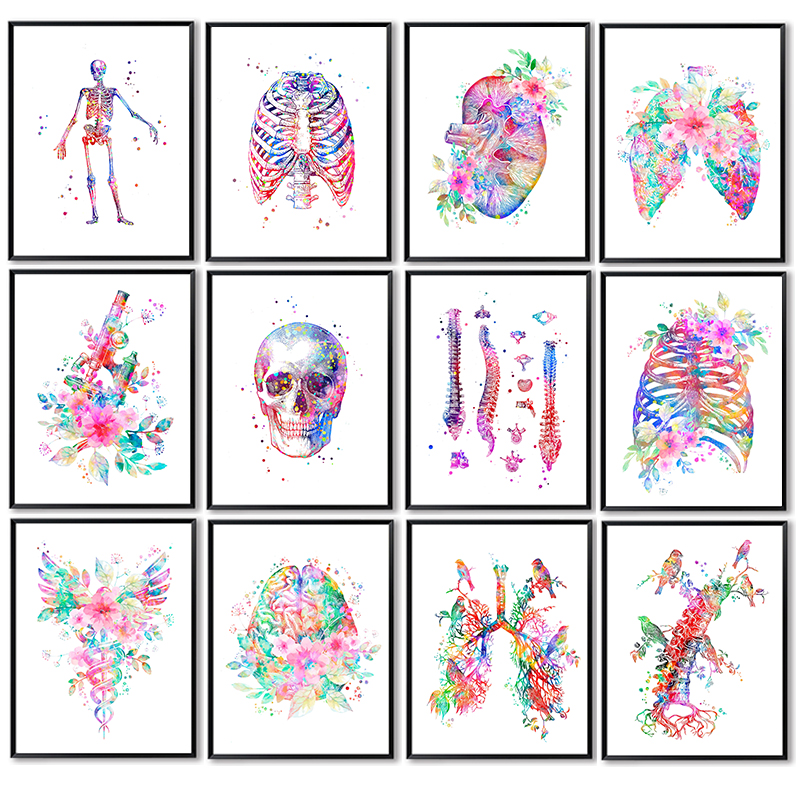 Medical Lab Posters - Unframe Anatomy Medical Poster Flower Organ