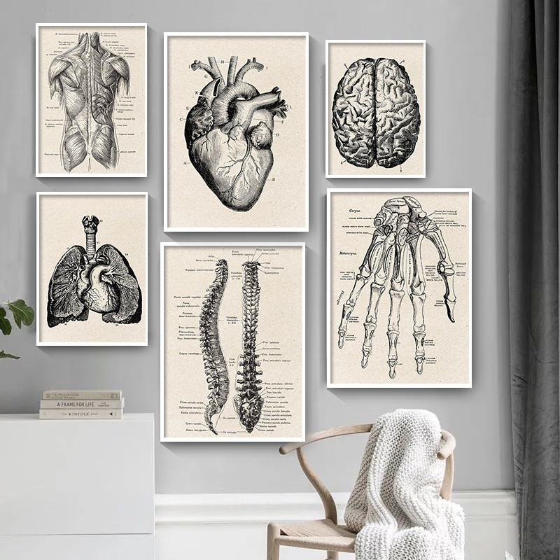 Medical Lab Posters - Thẩm Mỹ Trang Trí Phòng Anime