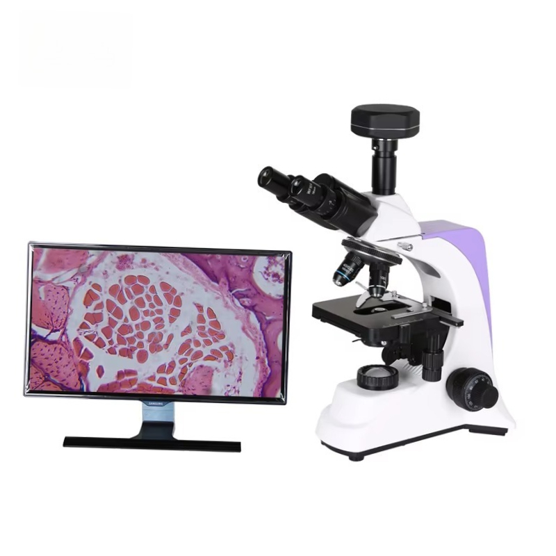 Medical Laboratory Scientist - 2026 Medical Lab Digital Biological Microscope