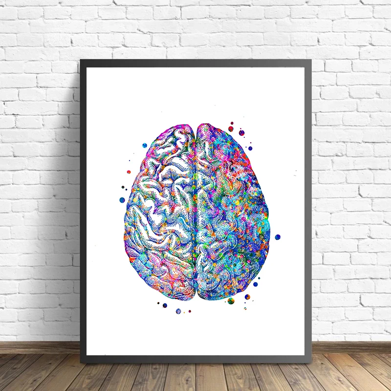 Anatomy Medical Poster Flower  - đánh giá và giá Medical Lab Posters