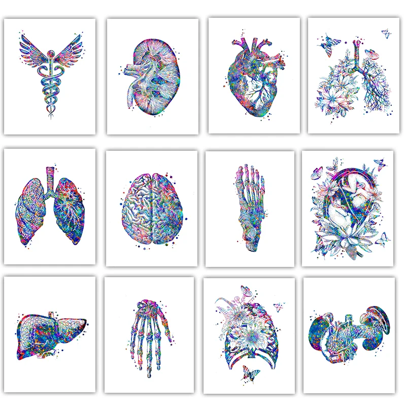 Anatomy Medical Poster Flower  - đánh giá và giá Medical Lab Posters