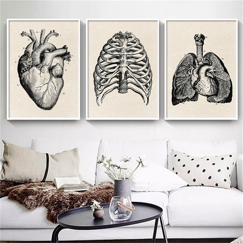 Thẩm Mỹ Trang Trí Phòng Anime  - đánh giá và giá Medical Lab Posters