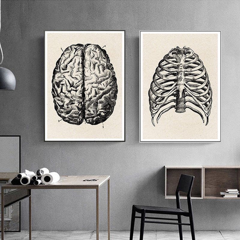 Thẩm Mỹ Trang Trí Phòng Anime  - đánh giá và giá Medical Lab Posters