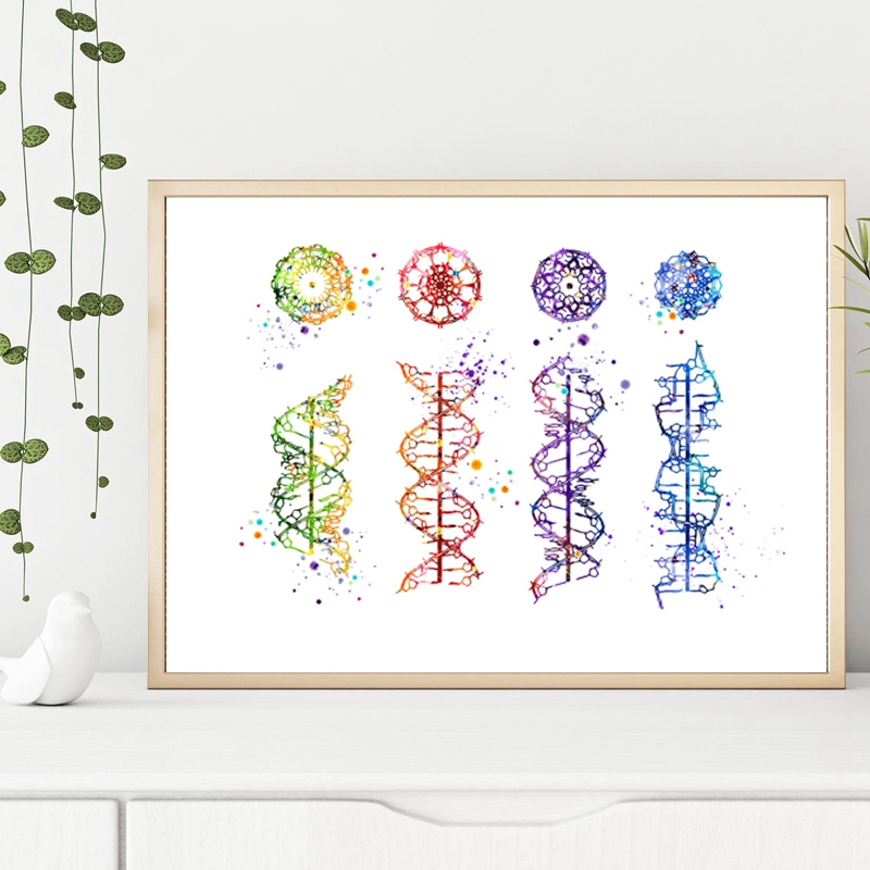 Phân Tử DNA In Y Tế Hiện Đại T - đánh giá và giá Medical Lab Posters